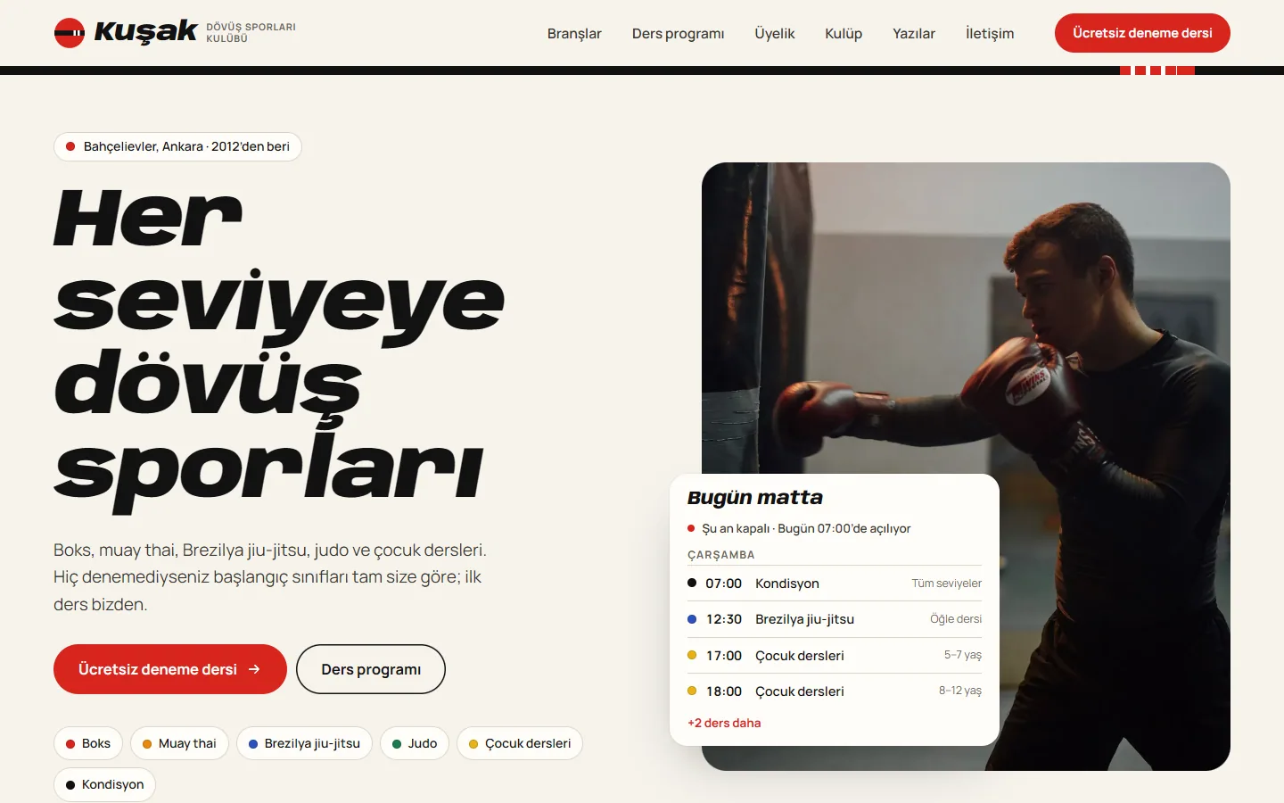 Dojo temasının ana sayfası